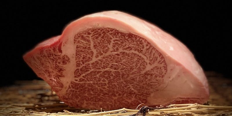 熟成肉コース　メインステーキ「特選熟成ヘレ肉」全10品