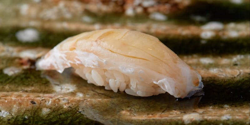 握りのみのコース（リクエスト予約）