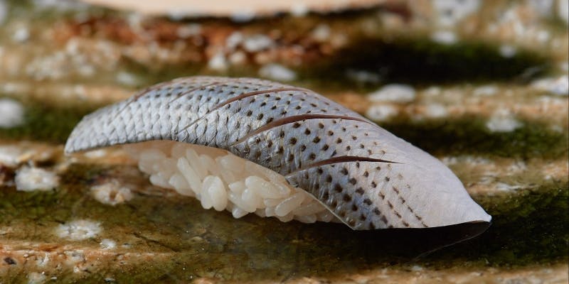 おまかせショートコース（リクエスト予約）