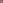 仔猫
