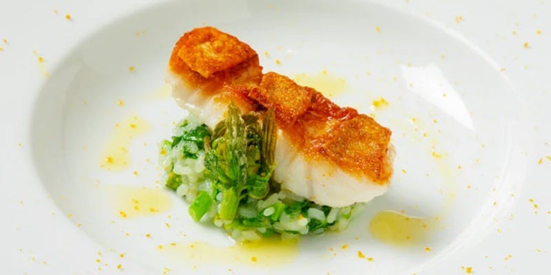 TRE VERDI（トレ ヴェルディ）