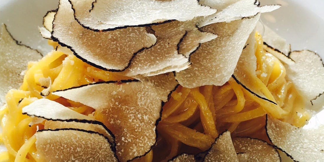 ドンナセルバティカ - 画像4