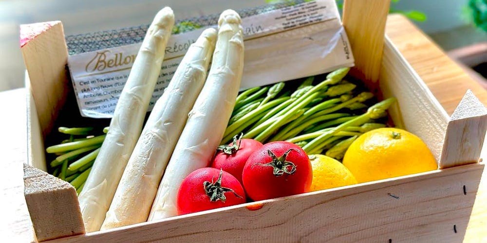 ドンナセルバティカ - 画像5