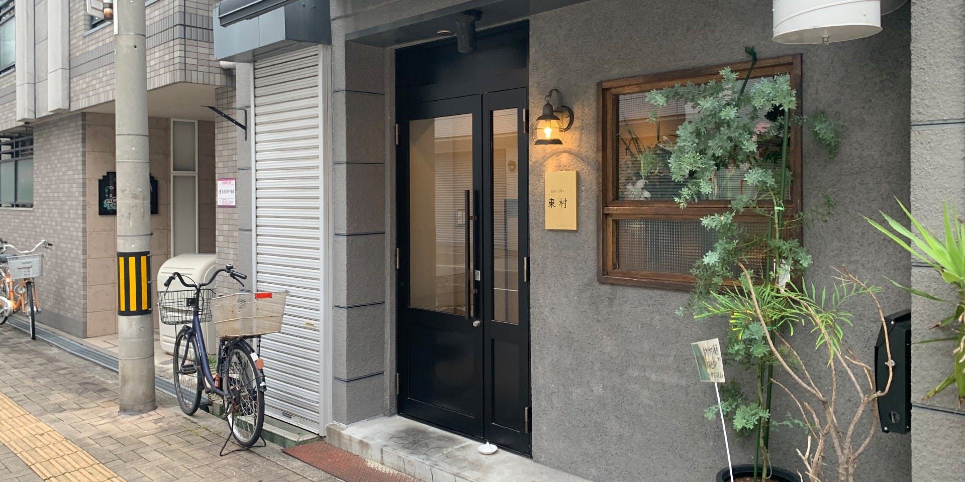 台所ソラマメ 東村