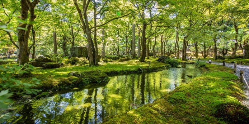 【しょうざん庭園チケット付き】アフタヌーンティー