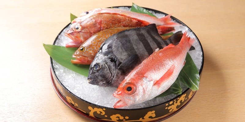 名物、富山の一本魚が選べるコース　9品