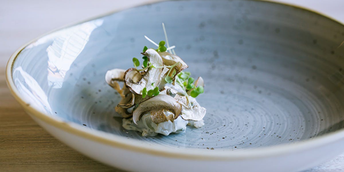 サンプリシテ - 画像3