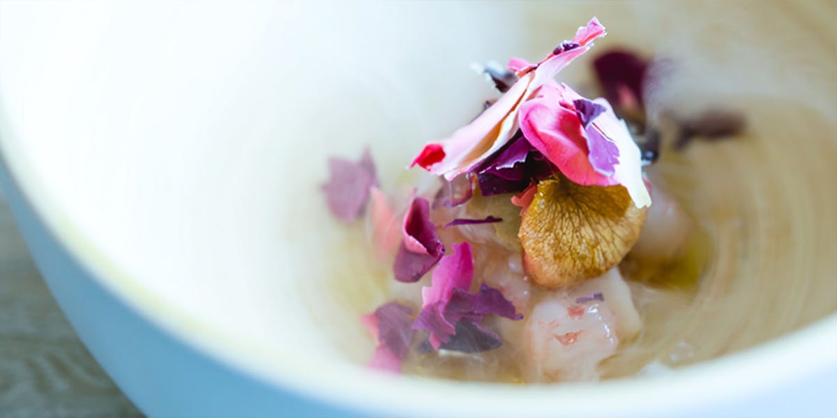 サンプリシテ - 画像4