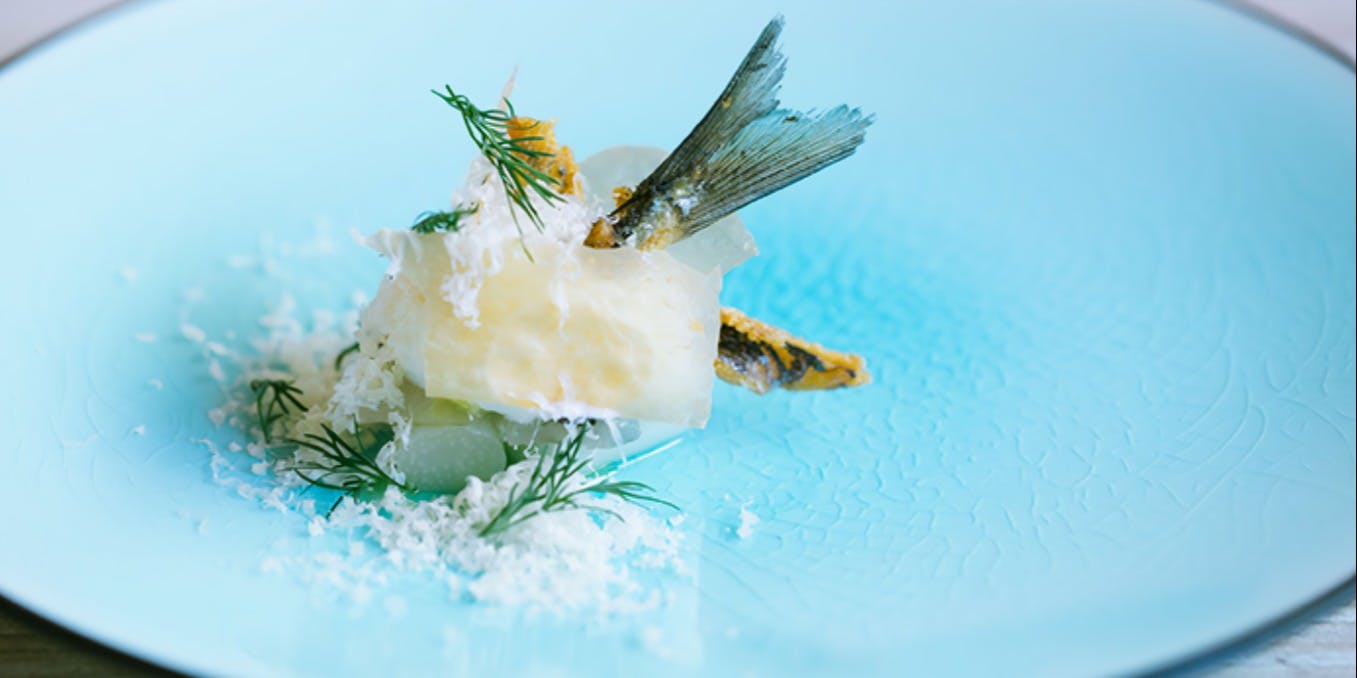 サンプリシテ - 画像5