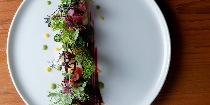 クリスマスコース2025