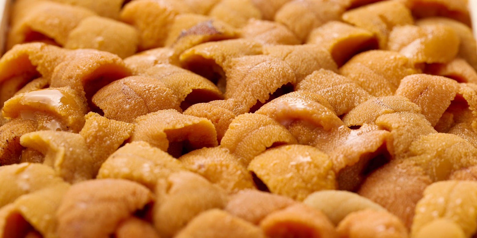 鮨処 榎本（えのもと）