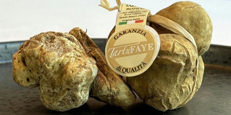 【期間限定】Menu truffe blanche