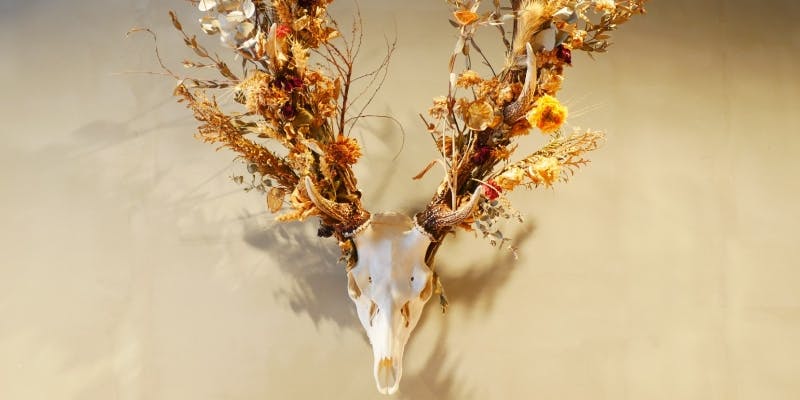 【Xmas2025】クリスマススペシャルコース