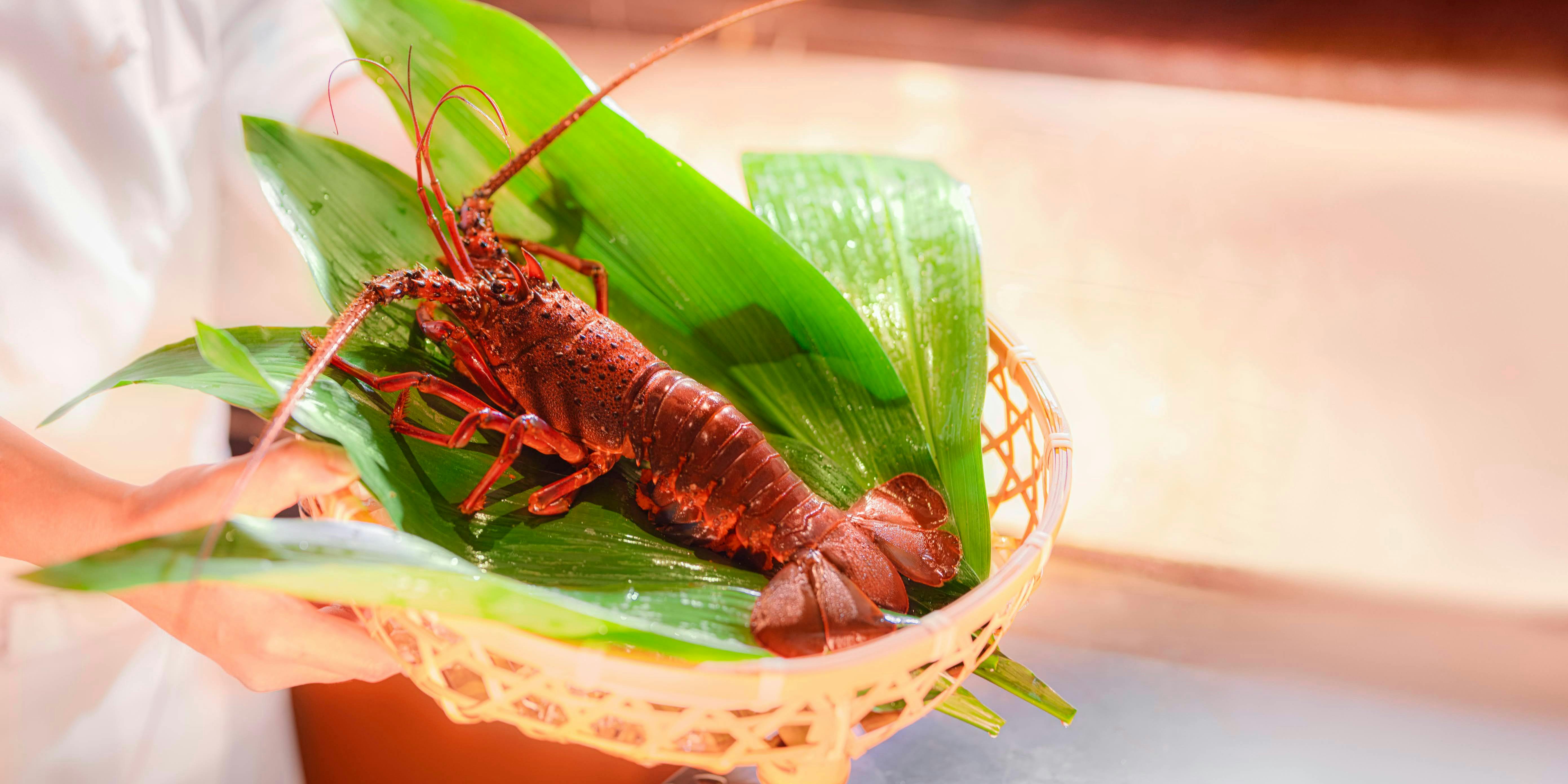 ぎおん刀 - 画像15