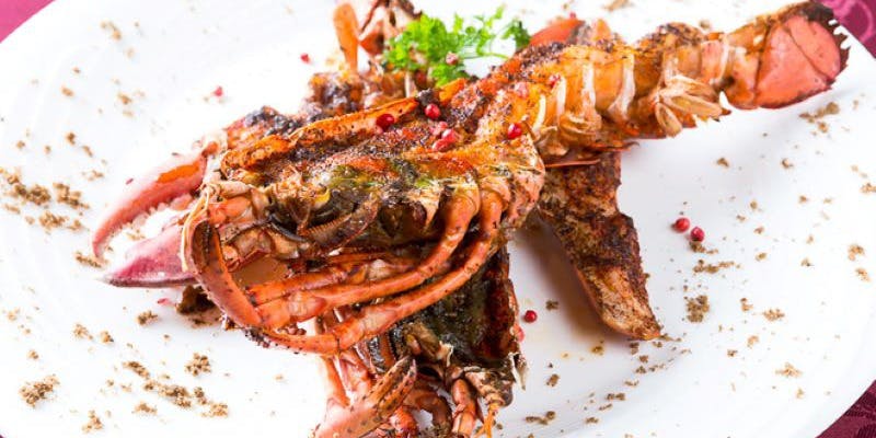 古民家バル 旧本藤邸 - 画像4