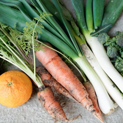 自然の恵みと人の温もりを、ひと皿に