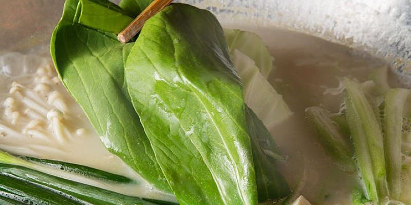 博多水炊き あうん