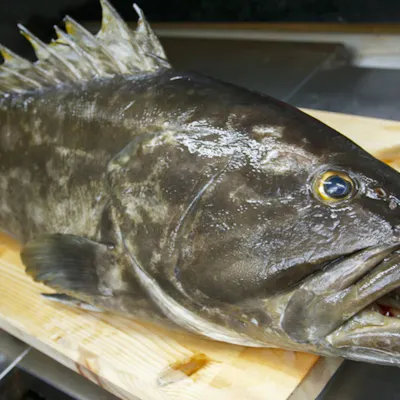 天然本あら・クエ 産直の旬素材を活かした絶品コースが自慢