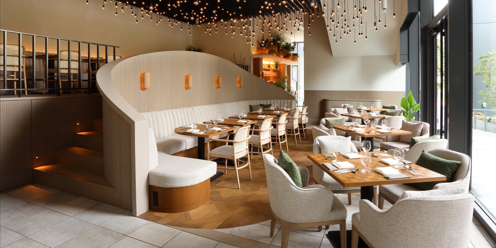 TRATTORIA PIZZERIA207渋谷店 お席のみのご予約 ランチ プラン TRATTORIA PIZZERIA207渋谷店 お席のみのご予約 ランチ プラン