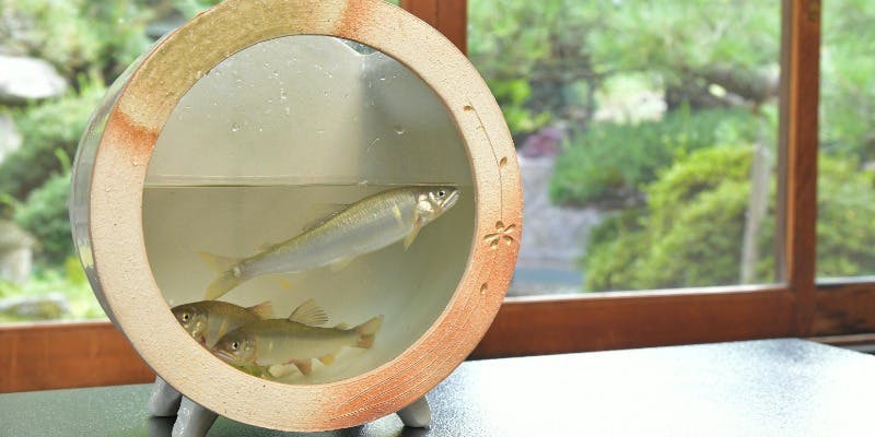 日本料理 きん魚 - 画像14
