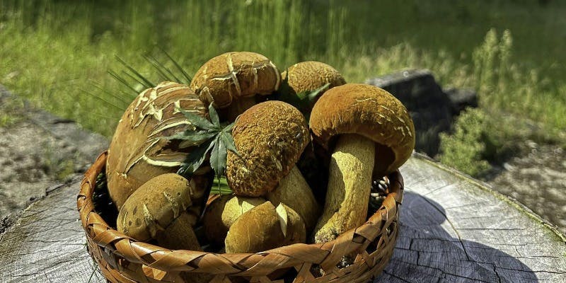 日本料理 きん魚 - 画像15