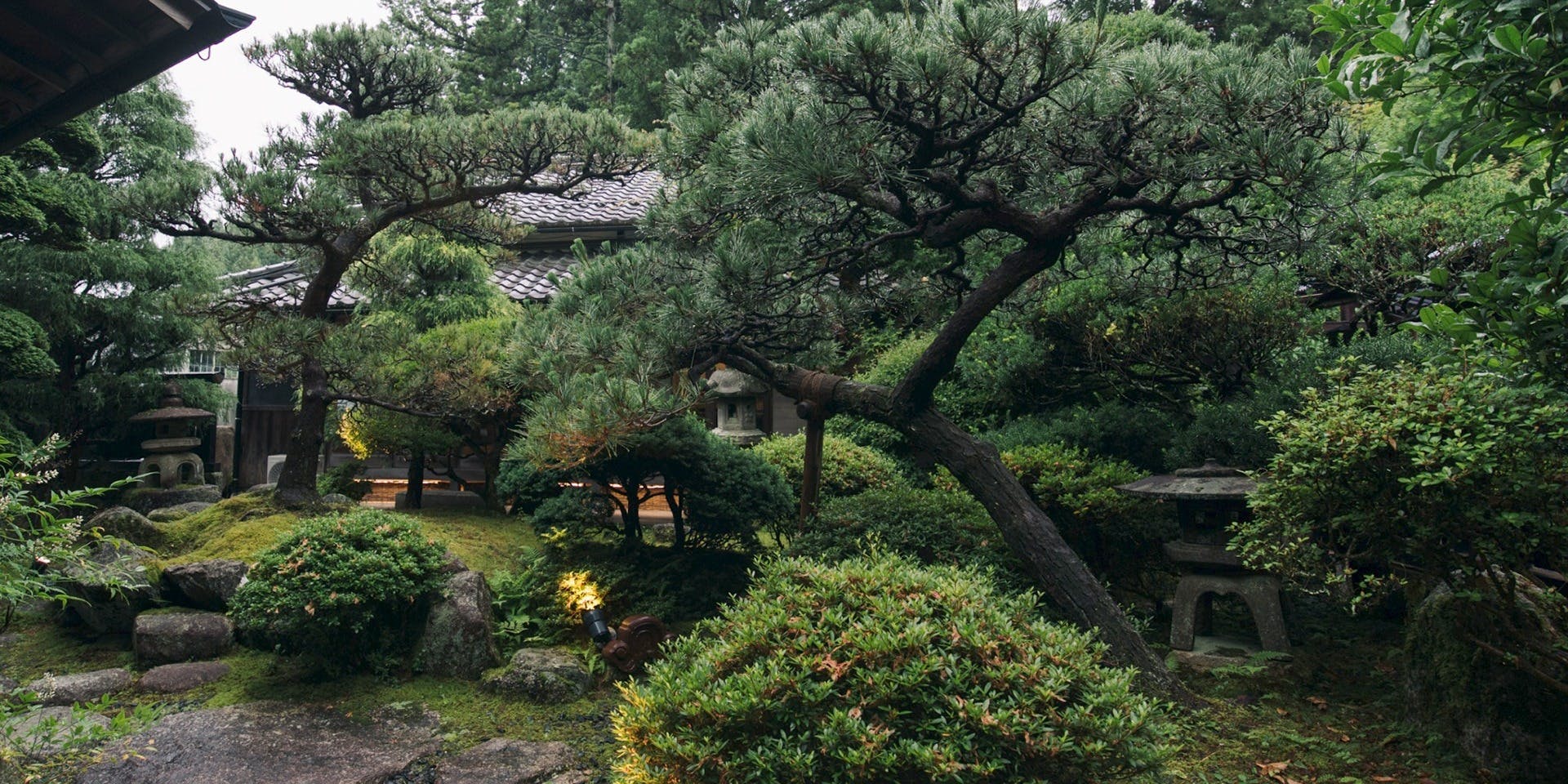 日本料理 きん魚 - 画像5