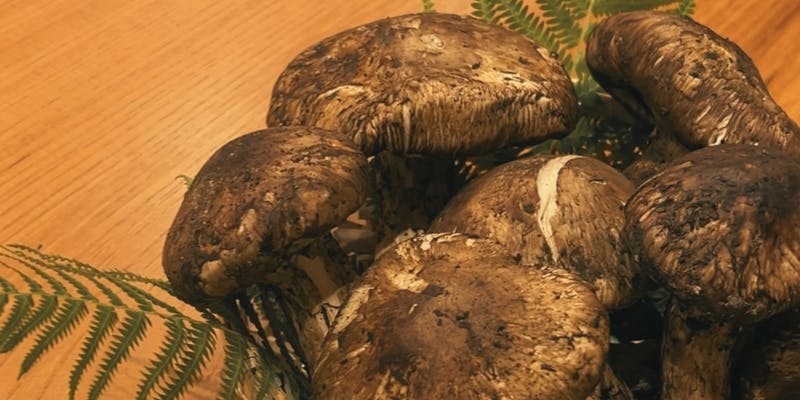 【葵】全9品（季節食材を贅沢に）（リクエスト予約　※鮎の石庭は5月～9月限定）