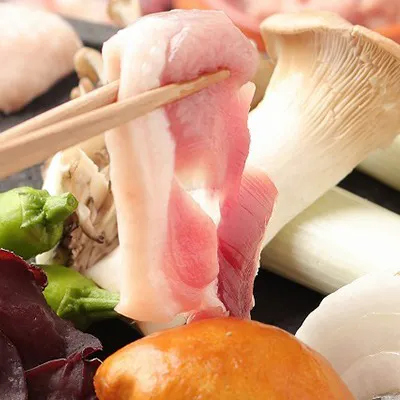 ツムラ本店監修、ブランドの河内鴨