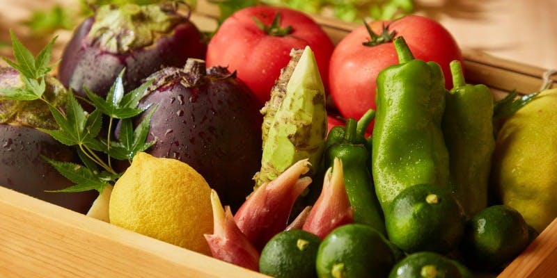 祇園 静水香 - 画像15