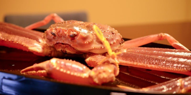 浜町緒ばたの越前蟹、背甲蟹懐石（11月上旬より）