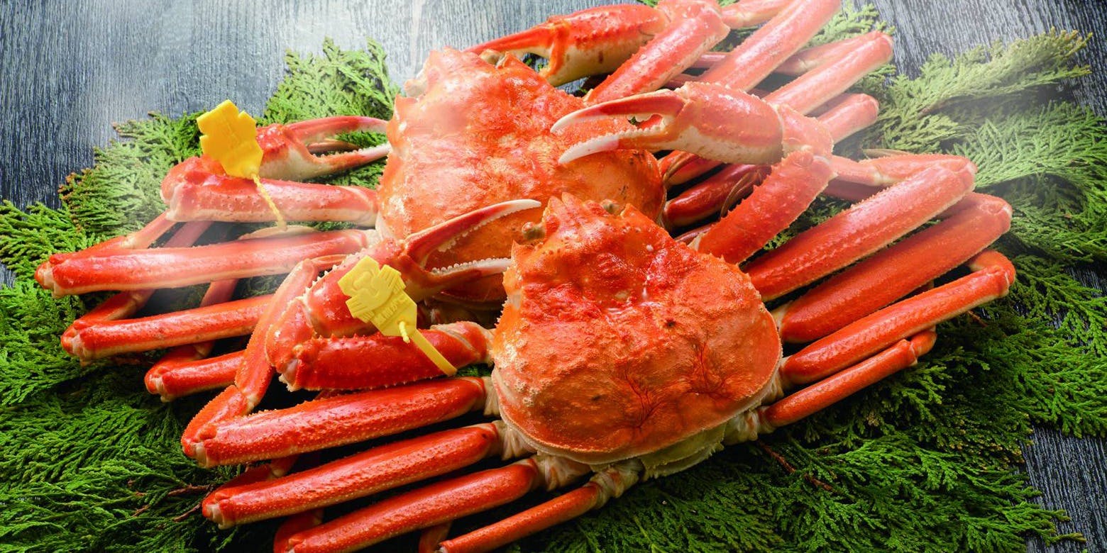 浜町 緒ばた - 画像5