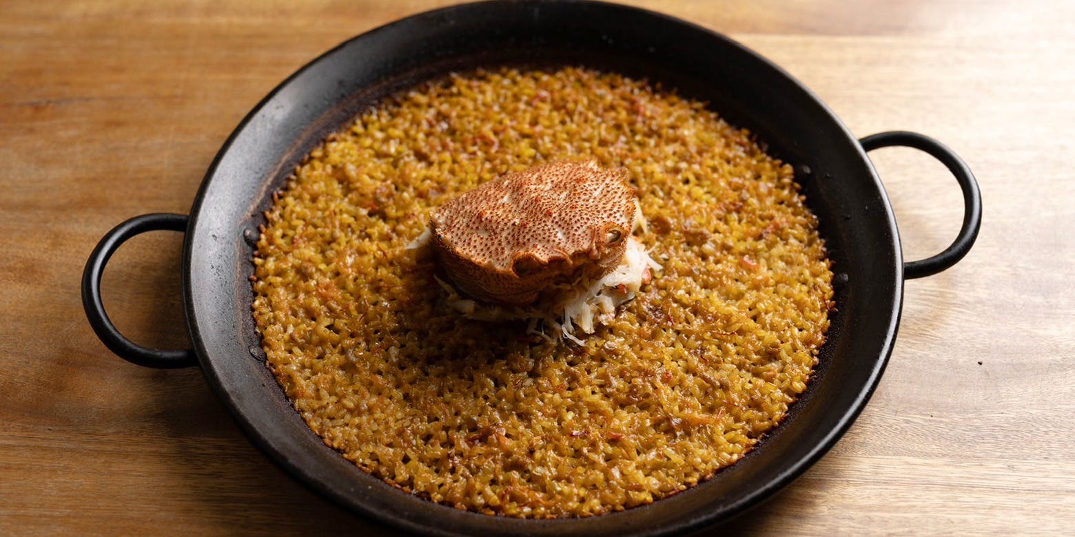 蘖（ひこばえ） - 画像5