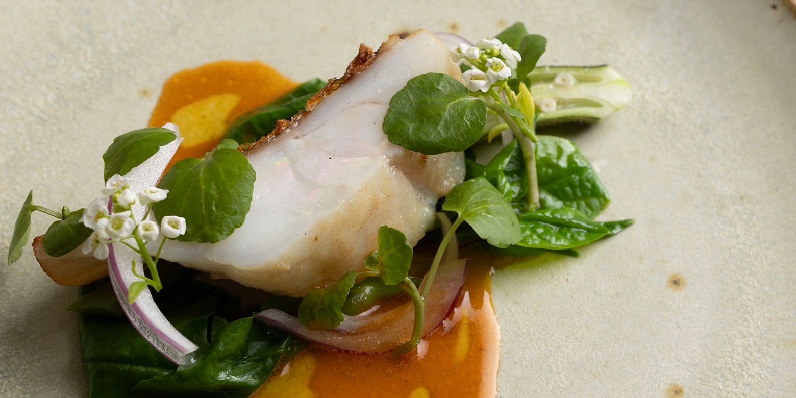 蘖（ひこばえ）