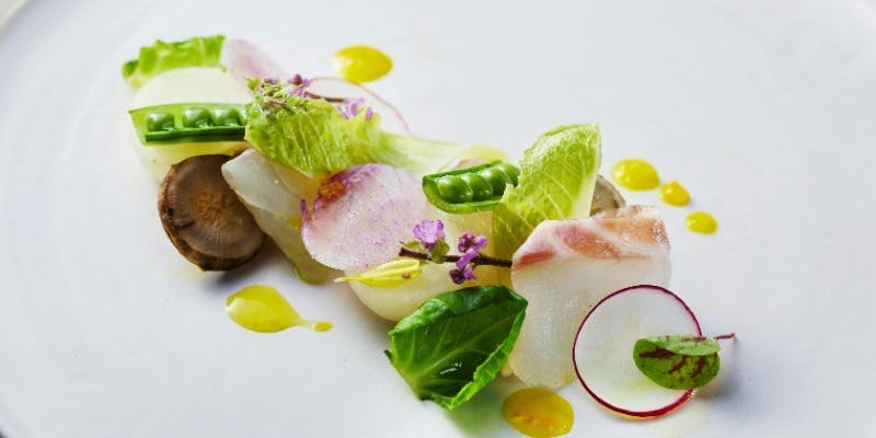 【Xmas2025】葵庭園が贈る和×洋のクリスマスランチ　全5品