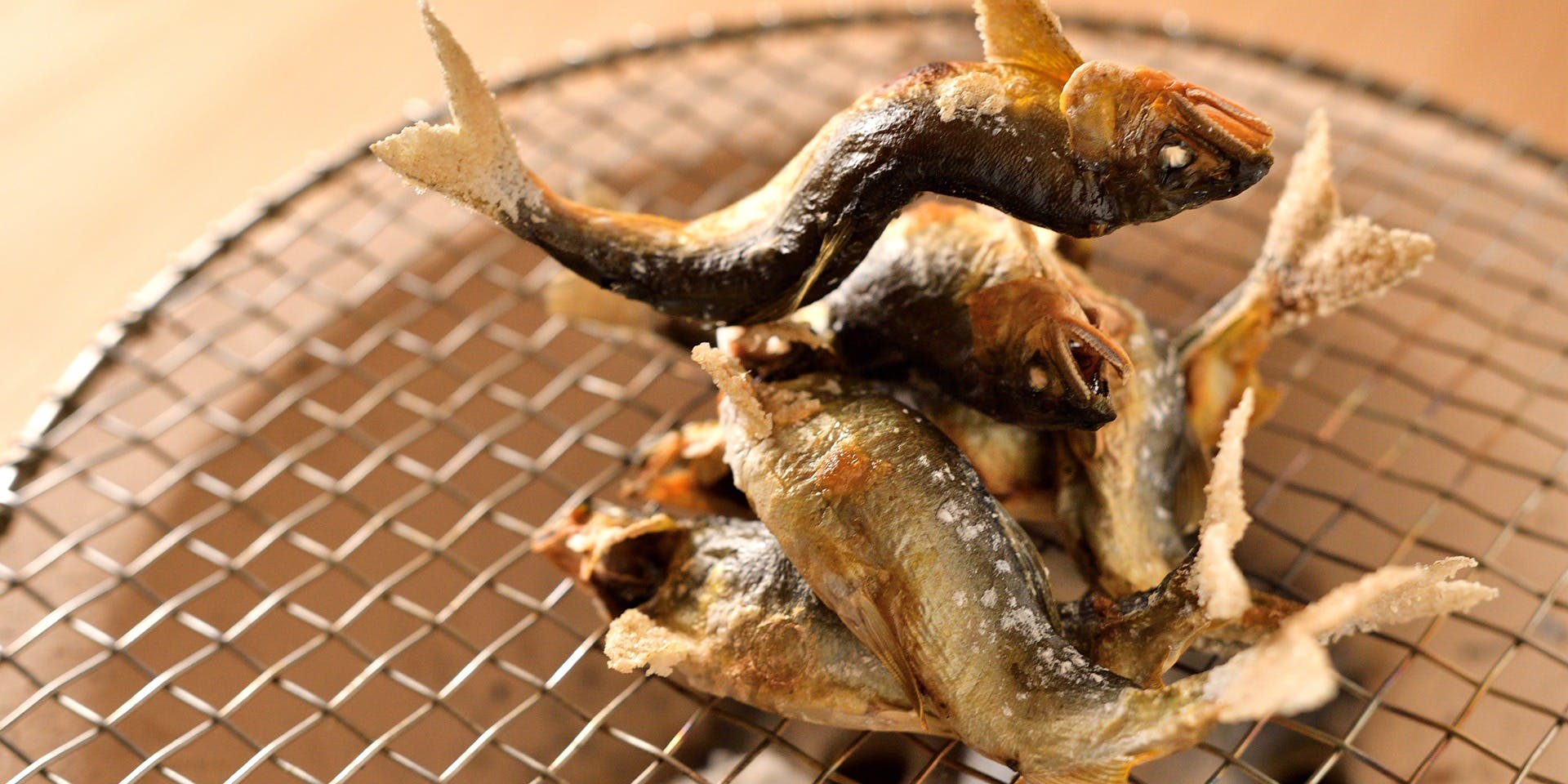 馳走 高山 - 画像6