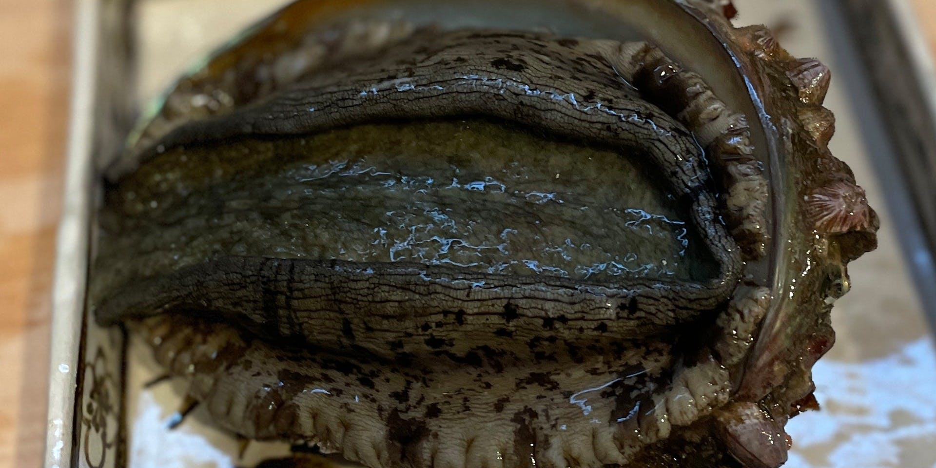 馳走 高山 - 画像8