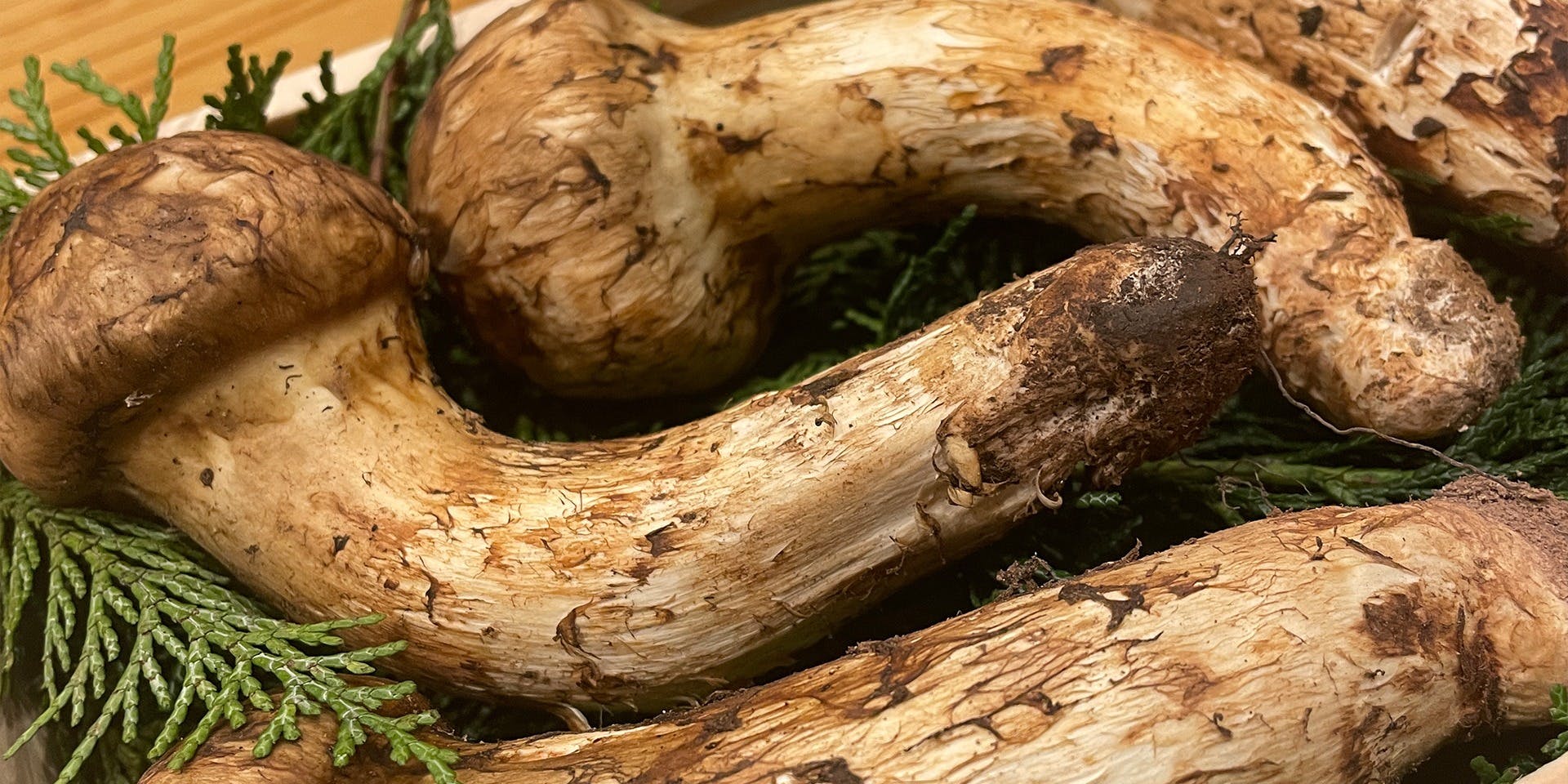 馳走 高山 - 画像9