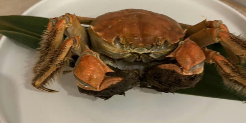 【10月～】上海蟹とフカヒレの贅沢コース＋乾杯ドリンク（平日×1組限定・5～6名様/テーブル席）