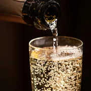 champagne