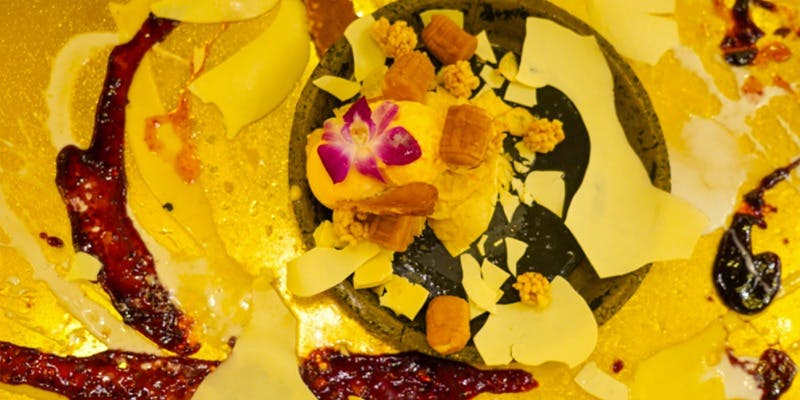 モトフサ アラキ（Motofusa Araki）