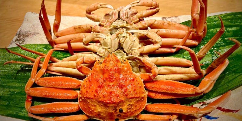 北新地 松庵 (キタシンチ ショウアン) - 北新地/日本料理 - PayPay