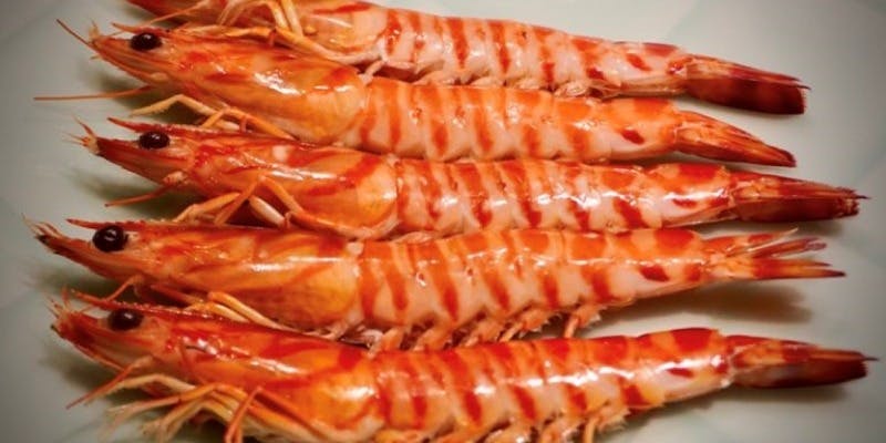 北新地 松庵（しょうあん）