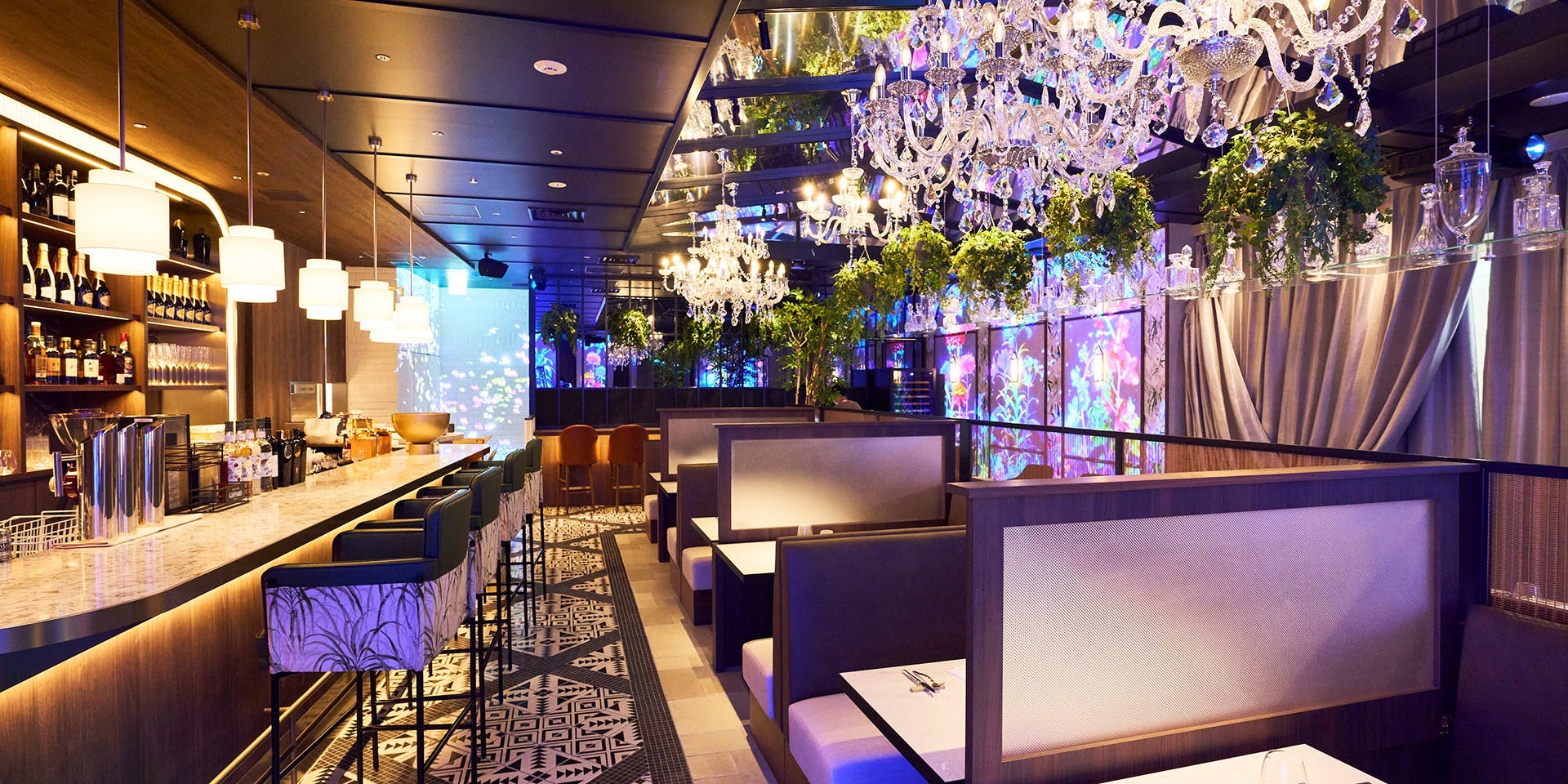 intellctuary - 画像3