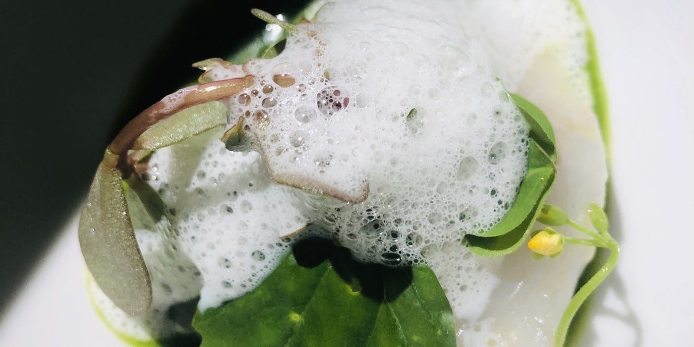 ランテルナ マッサ - 画像2