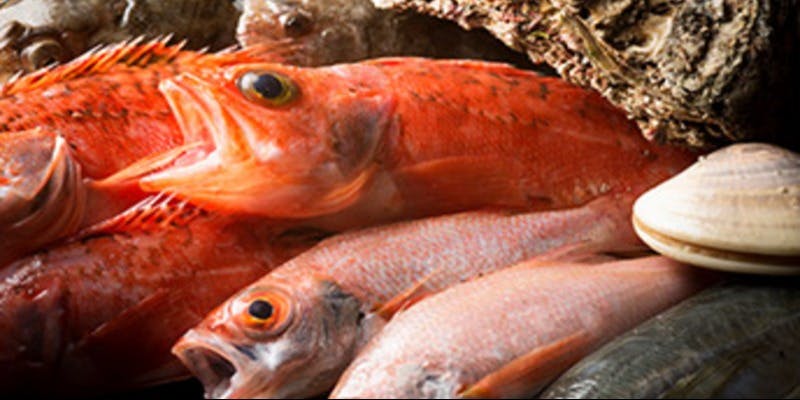 浜焼きとお酒 磯炙 - 画像2