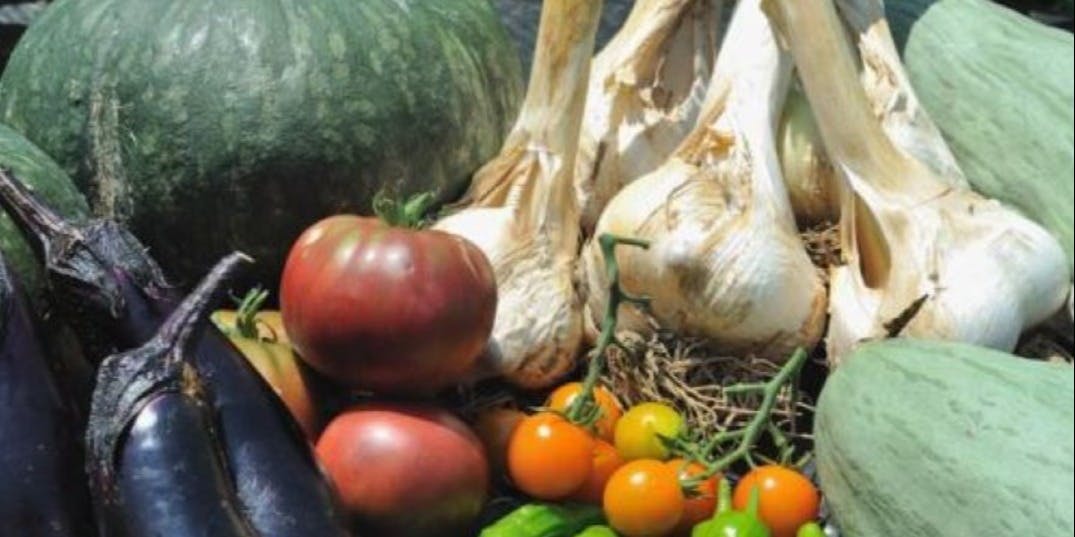 ノンナカコーレ - 画像3