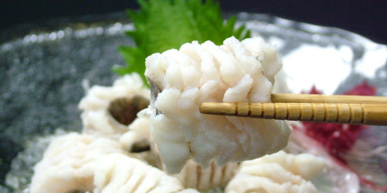 浅草 魚料理 遠州屋 - 画像8