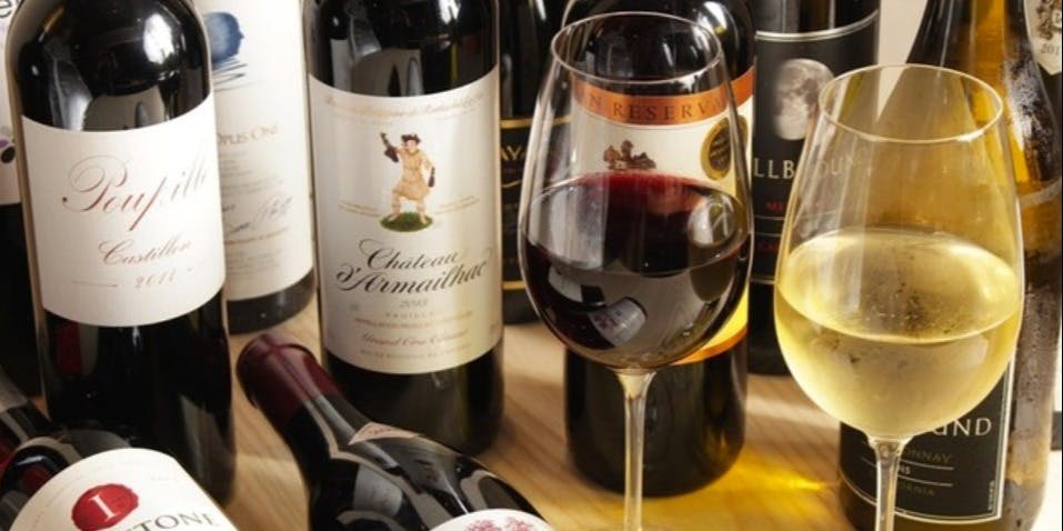 焼き鳥とワイン 志ノ蔵 - 画像3