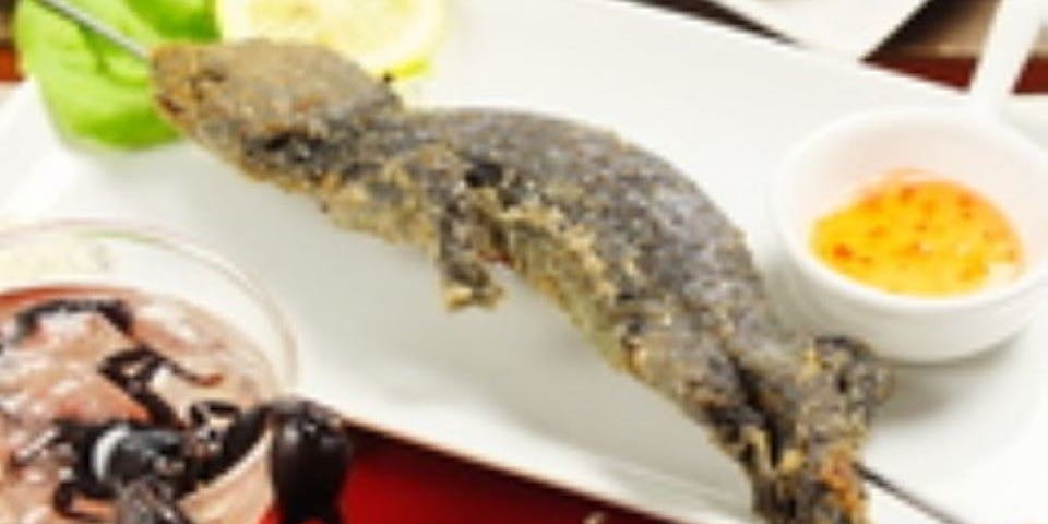 爬虫類カフェロックスター - 画像1