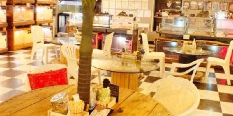 爬虫類カフェロックスター - 画像5